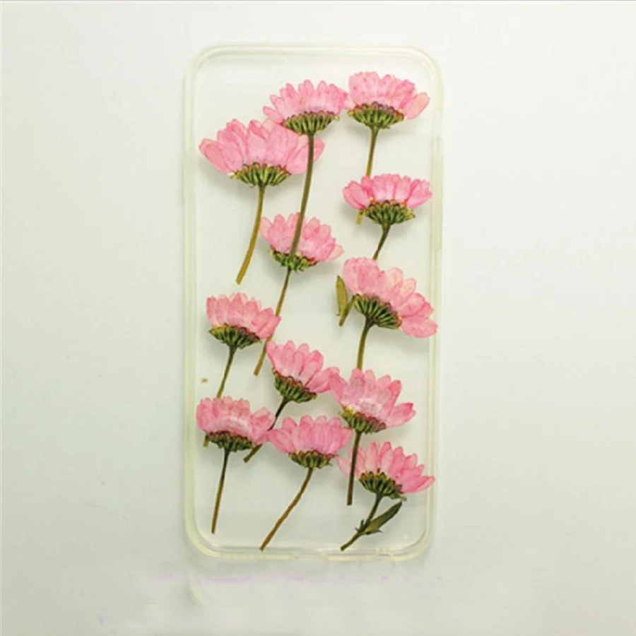 120pcs Side Pressed Pink Dried Daisy Flower Plants Herbarium For Jewelry iPhone Phone Case Photo Frame DIY Making Accessories