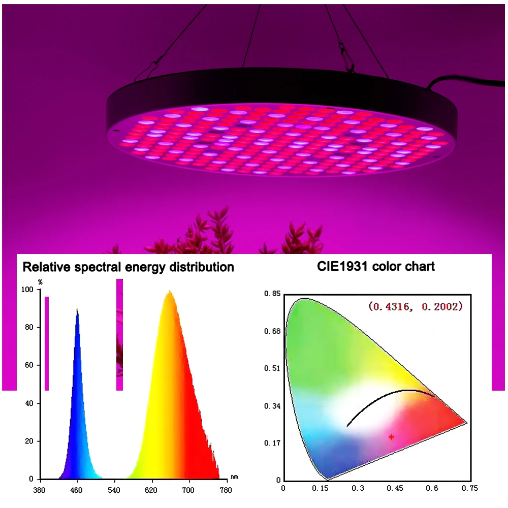 Lampe de croissance LED SMD2835, 1000W, spectre complet, éclairage avec lunettes pour chambre de culture intérieure, semis, végétation, floraison, plantes