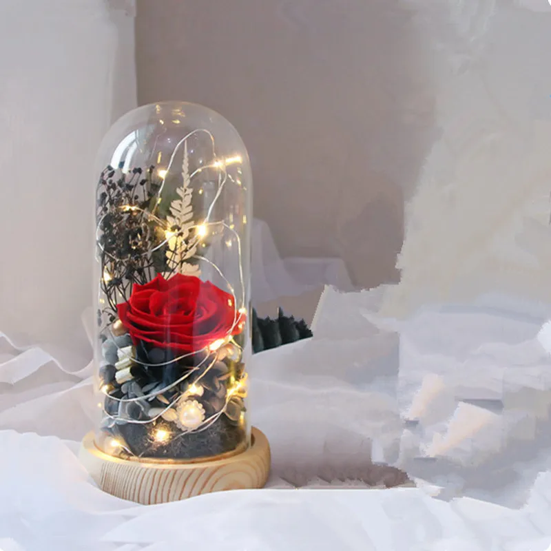 10*15 سنتيمتر متوسطة الحجم زجاج شفاف قبة زهرية ديكور المنزل سجل قاعدة غطاء صديق بها بنفسك صديق هدية الزفاف الديكور #2