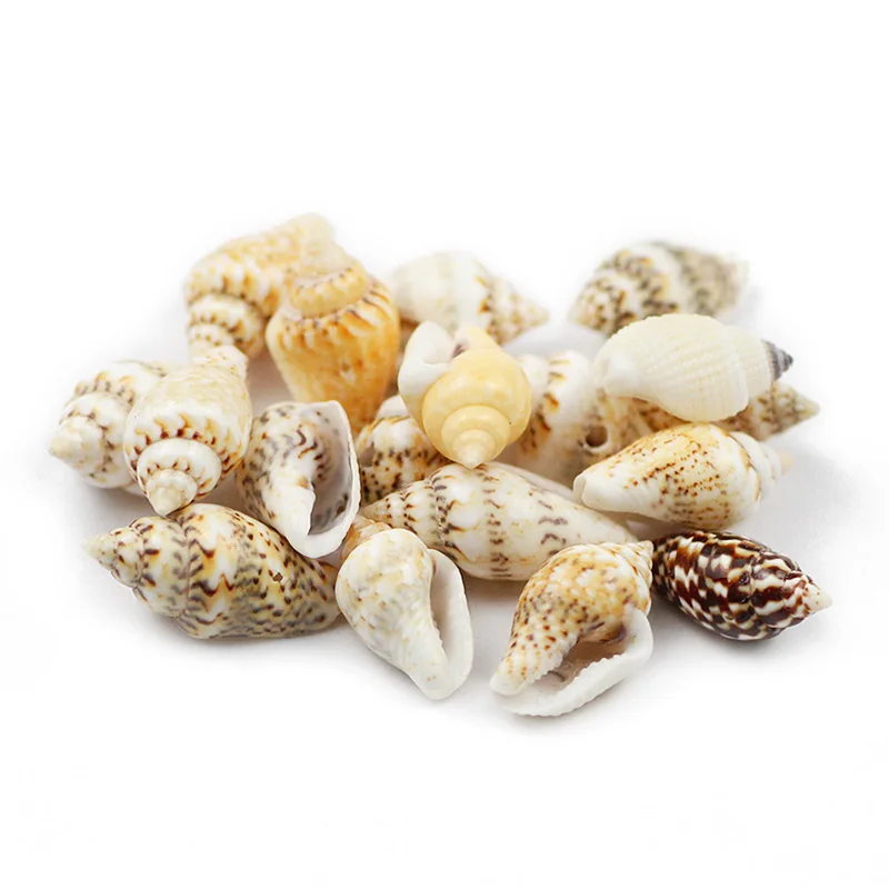 100pcs 7*14mm Diy Natural Sea Shells Conch Beads Printing Shell For Women Jewelry Earrings Making Crafts Beach Decor Accessories