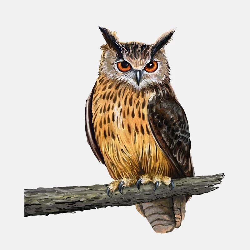 B0742# Self-adhesive Decal Owl Standing on A Branch Car Sticker Waterproof Auto Decors on Bumper Rear Window Motorcycle Laptop