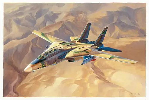 Hobbyboss 81771 1/48 scale Persian Cat F-14A TomCat - IRIAF Fighter 2019 New