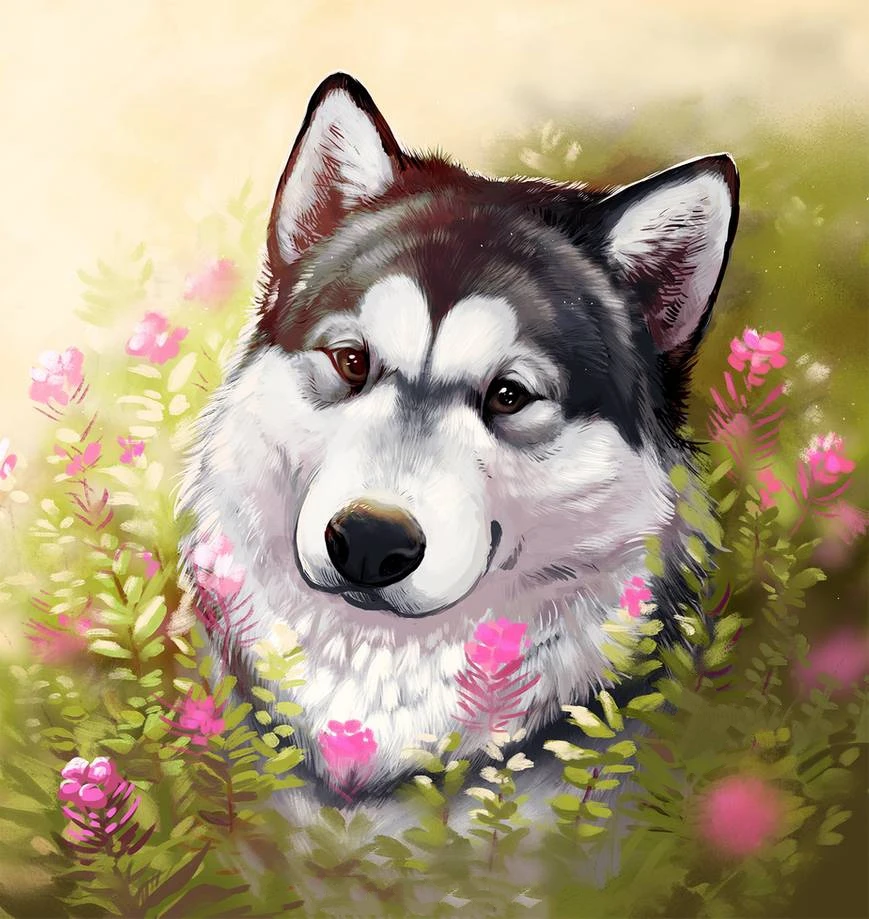 JMINE Div 5D Husky Dog Flower Full Diamond Painting cross stitch kits art High Quality Animal 3D paint by diamonds