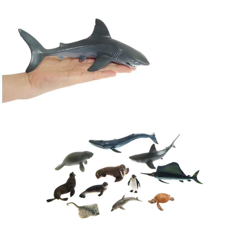 Model Hewan Laut Anak-anak Mainan Pendidikan Awal Bahan Bahasa Montessori Alat Belajar Geografi untuk Anak-anak