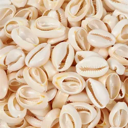 about 340pcs/500g Mixed Spiral Shell Beads for Jewelry Making DIY Findings, Cowrie Shells, PapayaWhip, 18~20x13~14x6~8mm F80