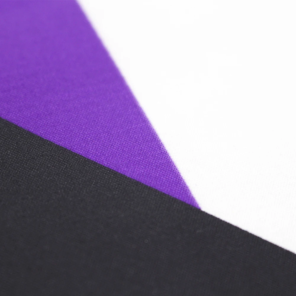 90x150cm LGBTQIA Ace Community Demi Asexuality asexual pride demisexual Flag