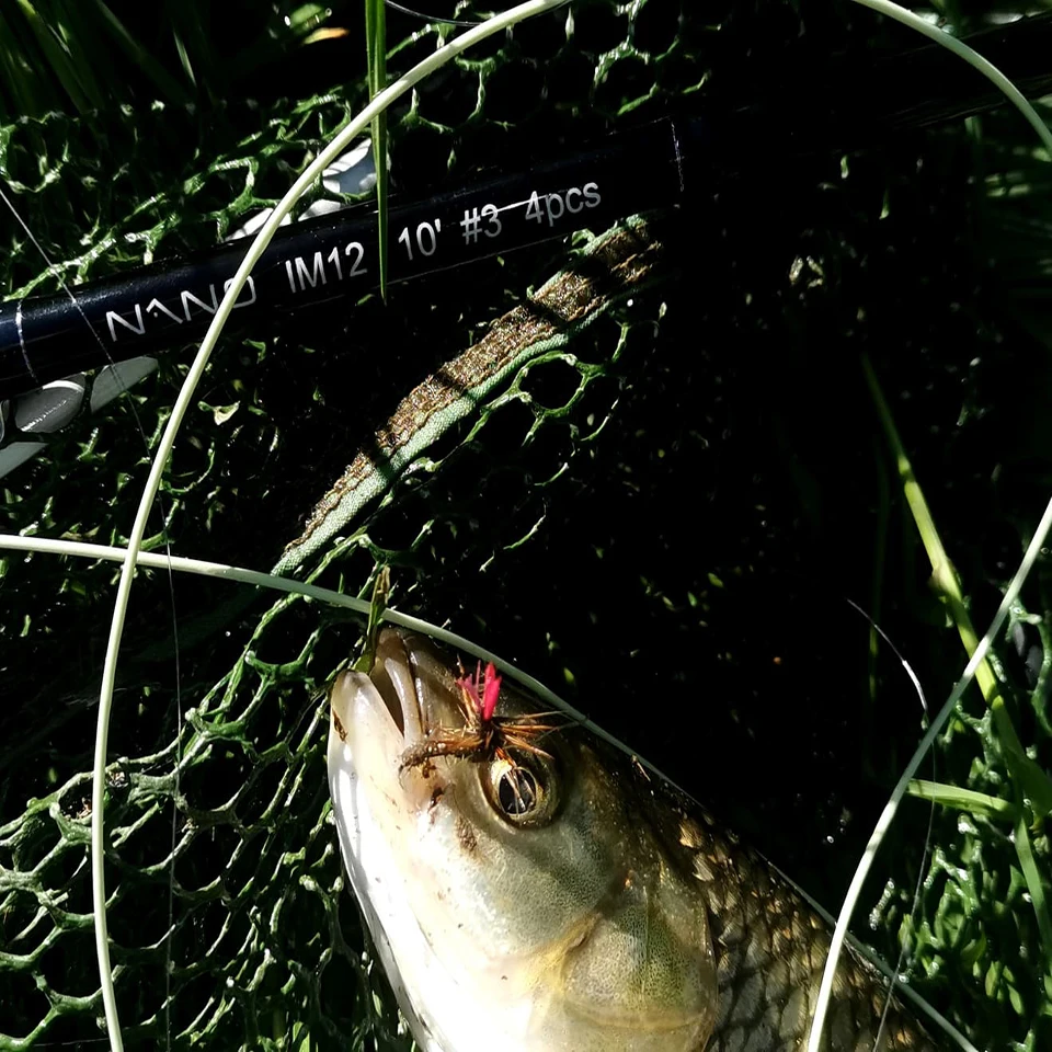 Maximumcatch Outbound 6/7/8/9/10wt Short Fly Fishing Line 100FT Weight Forward Saltwater Fly Line With 2 Welded Loops