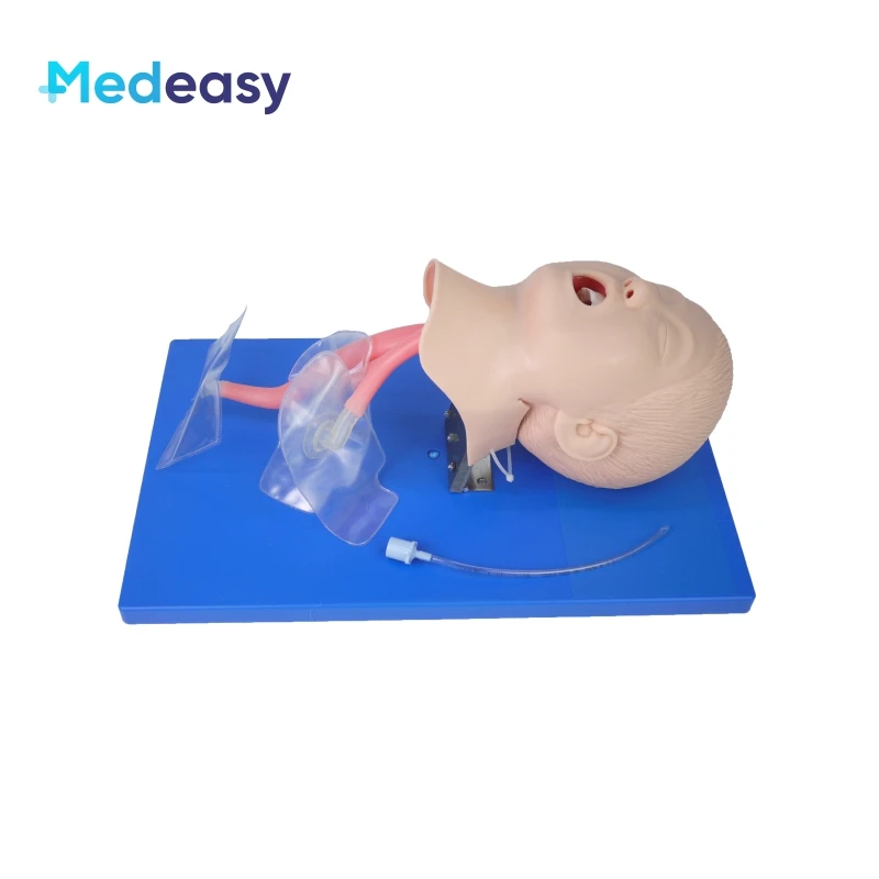 Adult Electric Endotracheal Intubation Training Manikin Child Tracheal Airway Intubation Model