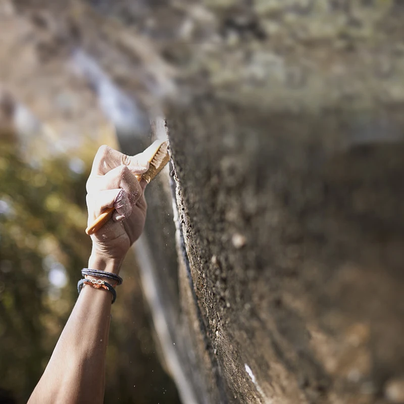 Wooden Boar Hair Cleaning Brush, Rock Climbing, Bouldering, Brush, Home Supplies, Household, Compartments, Shoe Brushes