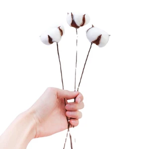 Natural Dry Cotton Flower Branch, Wedding Lady of Honor Bouquet Decoration, White Artificial Flower, Home Decoration, False Flower 10 Main Sales Natural Dry Flowers - №3