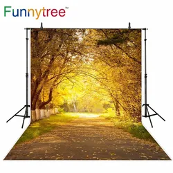 Funnytree background photography fall Fallen leaves natural scenery forest backdrop photophone studio photo photophone photozone