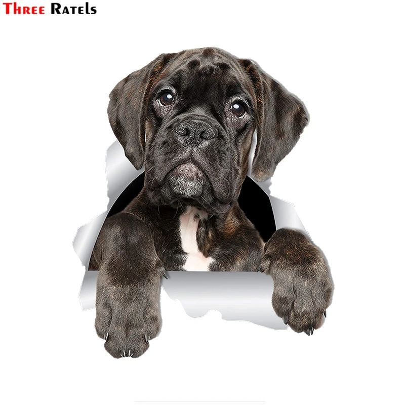 Three Ratels 1066 Adorable Boxer Dog Wall Decals Boxer Dog 3D Sticker Decals For Walls Cars Toilet Window