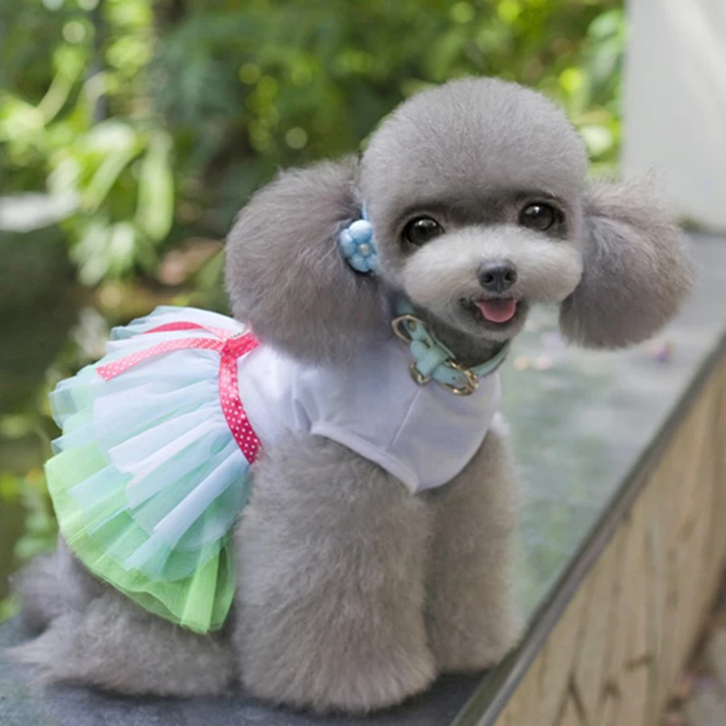 Anjing Merah Muda Pakaian Sweety Princess Dress untuk Anjing Kecil Musim Semi Musim Gugur Musim Panas Anak Anjing Renda Putri Gaun Anjing Chihuahua Rok