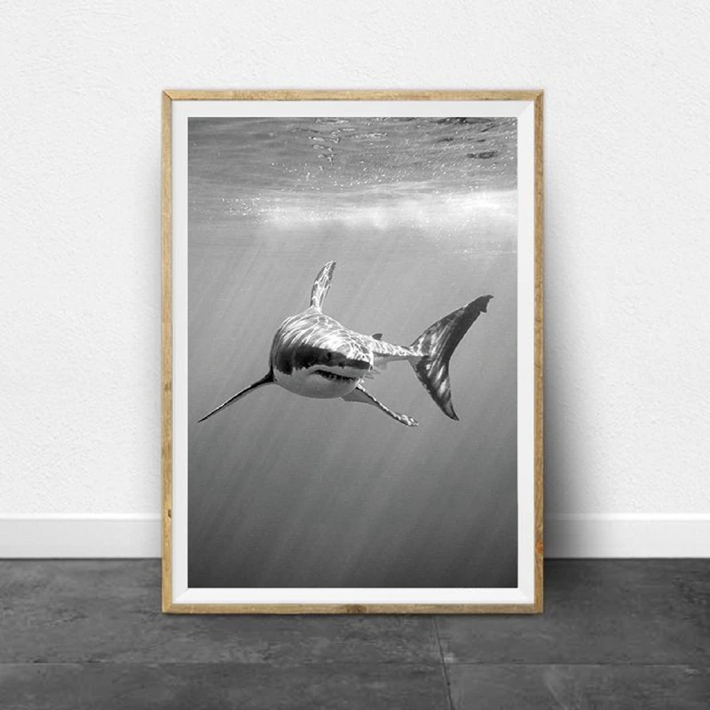 Great White Shark Black White Posters and Prints Monochrome Nature Wall Art Canvas Painting Pictures for Living Room Home Decor