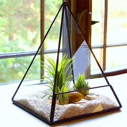 Pyramid Geometric Glass Terrarium Succulent Plants Container Planter Bonsai Flower PotGardening Decoration