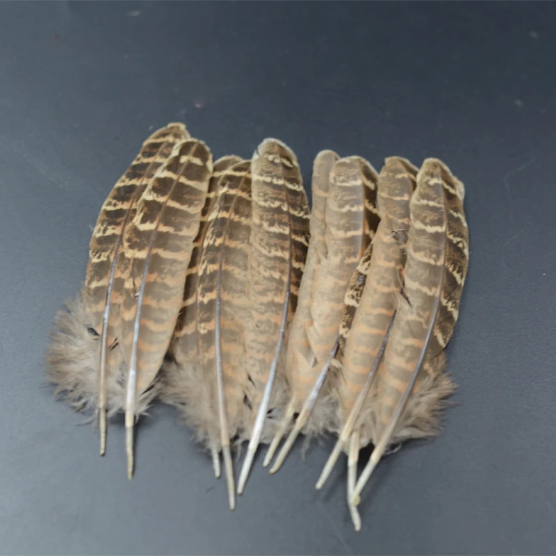 Plumas de faisán Ringneck para ninfa y Caddis – Sillín y cuello - imagen 4