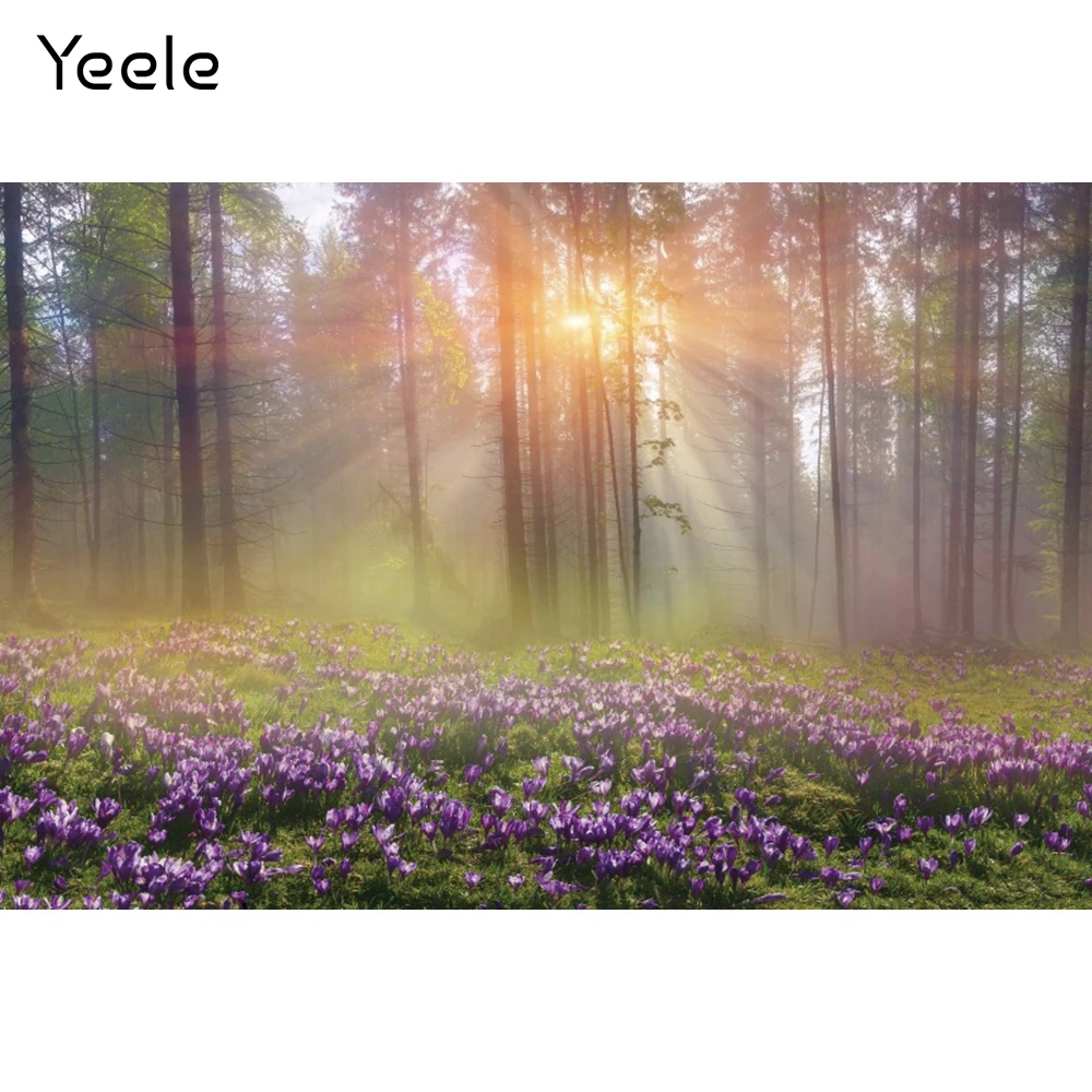Yeele الربيع الغابات المراعي الزهور الطبيعية مشهد التصوير خلفية التصوير الديكور الخلفيات للصور استوديو