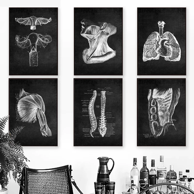 Human Anatomy Artwork Medical Wall Picture Skeleton Organ Muscle System Vintage Poster Canvas Print Body Education Painting