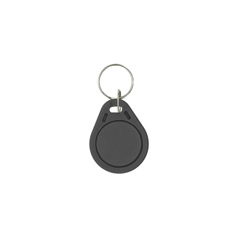 10/50/100 125KHZ RFID Tag Access Control Card Sticker Access Card EM4305 T5577 Replicator Repeated Write Keychain Random Color