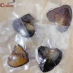 Natural pearl freshwater culture rice beads vacuum packaging oyster pearl oyster pearl oyster pearl mussel inside Pearl