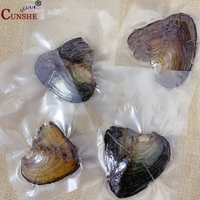 Natural pearl freshwater culture rice beads vacuum packaging oyster pearl oyster pearl oyster pearl mussel inside Pearl AliExpress 36