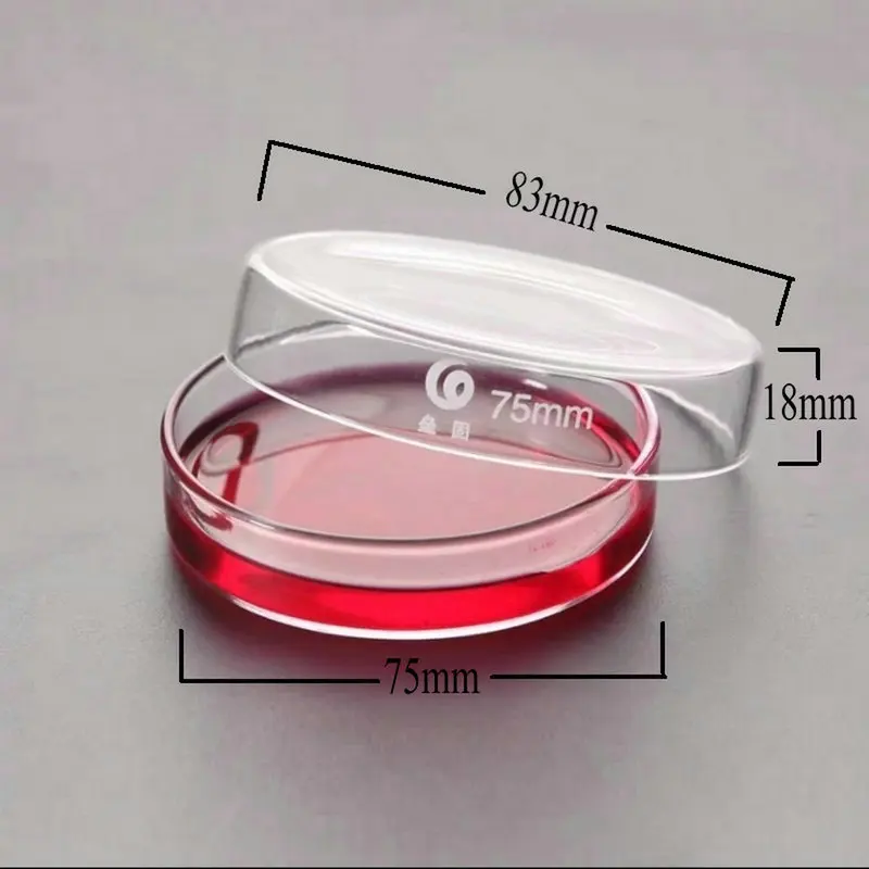 Imagem -05 - Prato da Cultura de Petri do Vidro de Borosilicate de Peças Diâmetro 75 mm Usado para a Cultura de Bactérias Células e Bactérias do Ácido Láctico no Laboratório