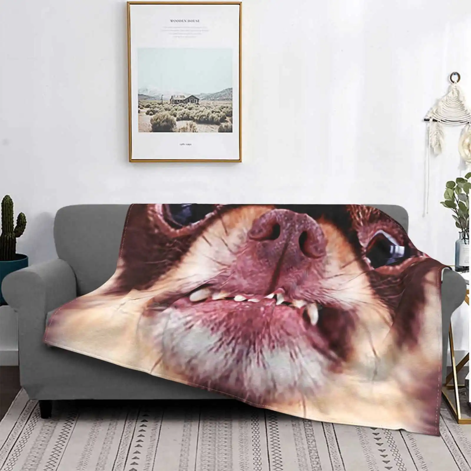 Chihuahua Aggressive Dog Snarling And Looking Angry Animals Gifts Safe Face Covering Men Women For Home Sofa Bed Camping Car