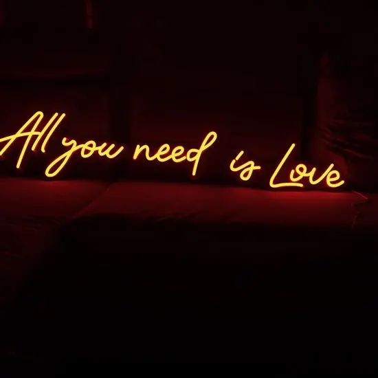 

Custom Neon Sign for Wall Hanging, Personalized Gift, Christmas Ornament Art, Wedding, Bedroom, Daughter, All You Need is Love