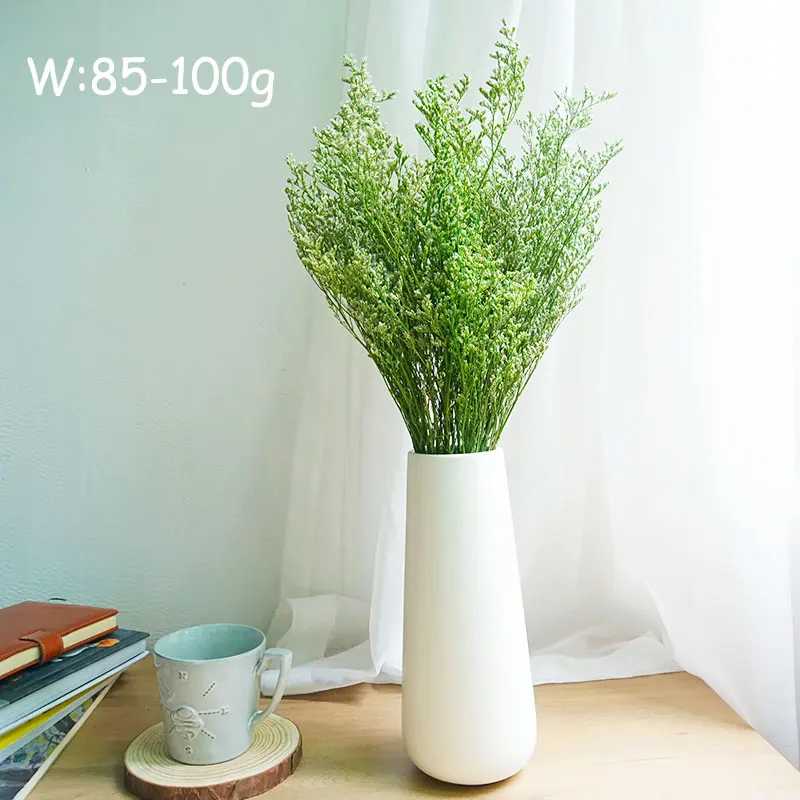 INS Phổ Biến Được Bảo Quản Lễ Tình Nhân Cỏ Limonium Hoa Lovergrass Cho Bán Hoa Phụ Kiện Trang Trí Nhà Cửa