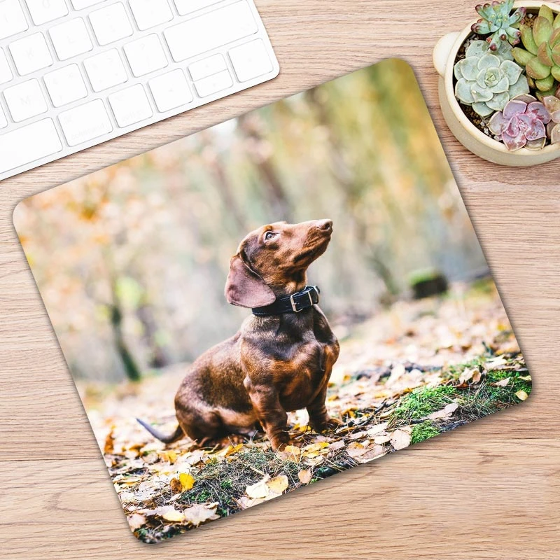 Animal Dog Dachshund Dackel Teckel Pc Tablet Gamer Computer Laptop Mause Mouse Pad Mousepad Mice Mat Decorate Desk Keyboard