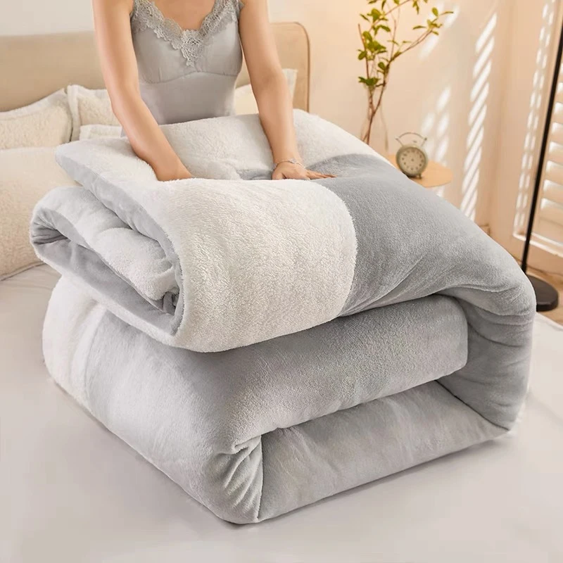Winter Super Thick Cashmere Winter Cotton Quilt Core Thickened to Keep Warm for Student Single Double Quilts in Spring Autumn