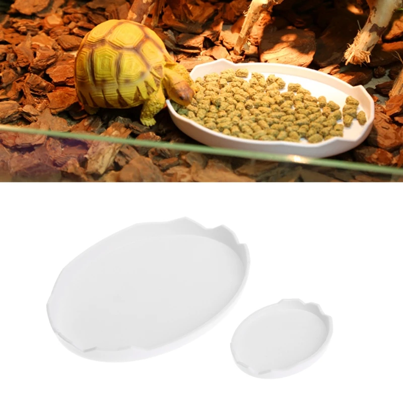 Pet Tortoise Snake Terrarium Drinking Water Bowl Dish Feeder Tool