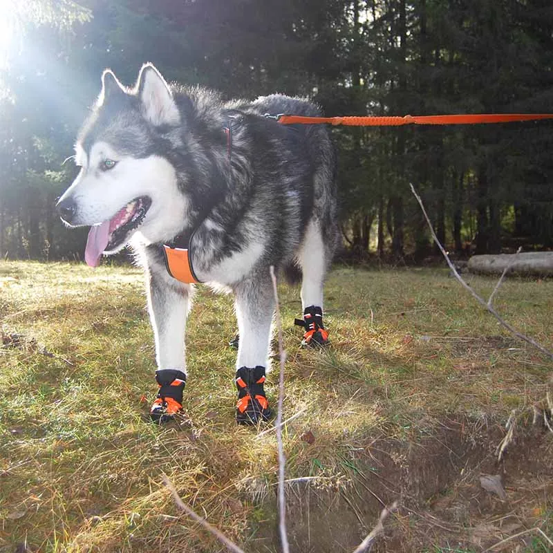 Truelove Waterproof Rubber Dog Shoes For Small Large Dogs Snow Anti-Slip Winter Shoes For Dog Pug Pet Boots Chihuahua Husky