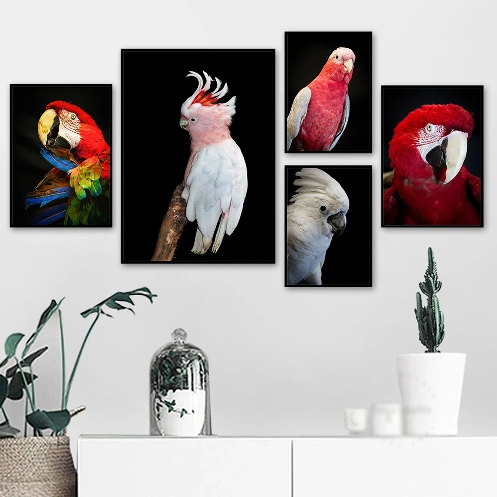 White Cockatoo Australian Animal Red Parrot DIY Diamond Painting Crystal Art Cross Stitch Kits Bird Mosaic Embroidery Home Decor