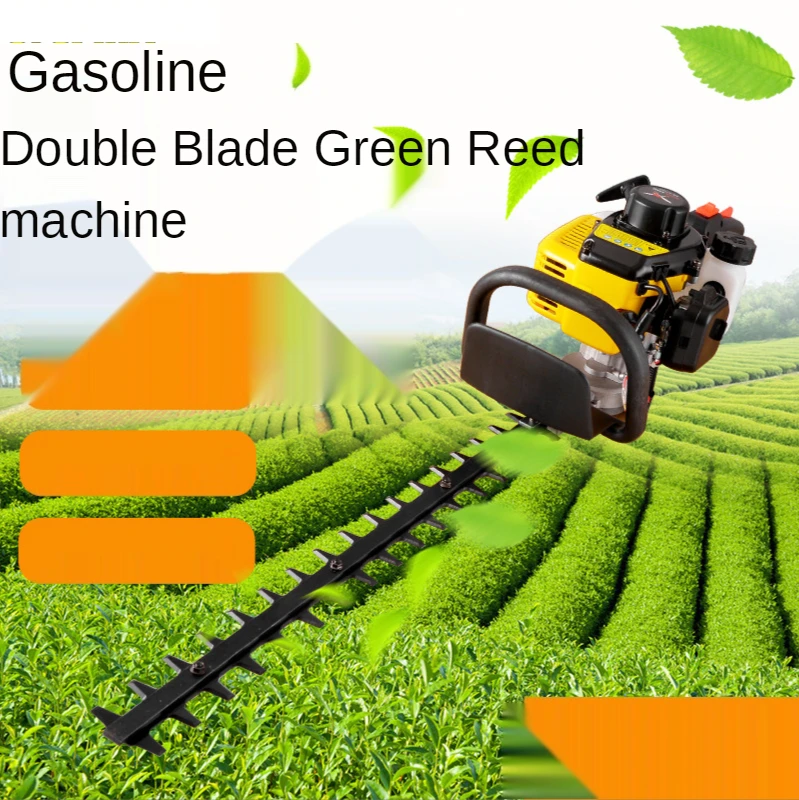 

750W Gasoline Hedgerow Machine Tea Tea Tree Pruning Double Blade Rough Cut Shears Knapsack Pruning Machine