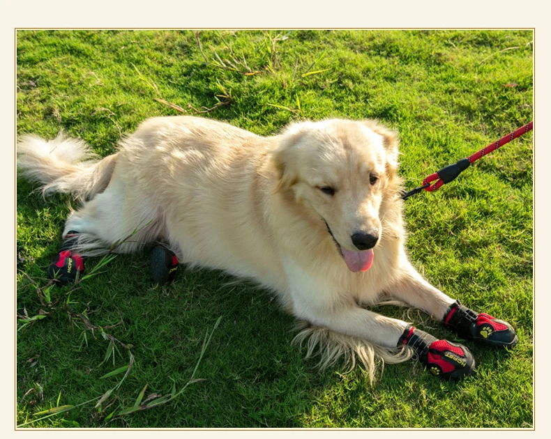 4 Teile/satz Haustier Hund Schuhe für Mittelgroße Hunde Wasserdicht Regen Schnee Hund Stiefel Langlebig Atmungsaktive Outdoor Training Wandern Hund Schuhe – Detail 5