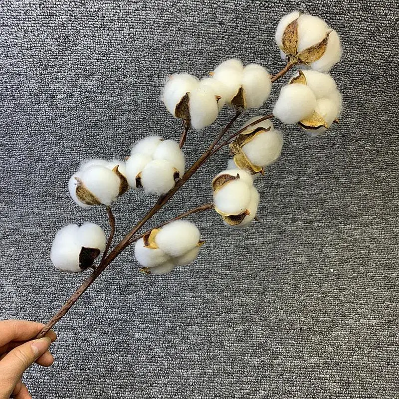 꽃가지를 활용한 인공 건조 면화 화분 장식, 실제로 사용해보니 이렇게 좋았습니다