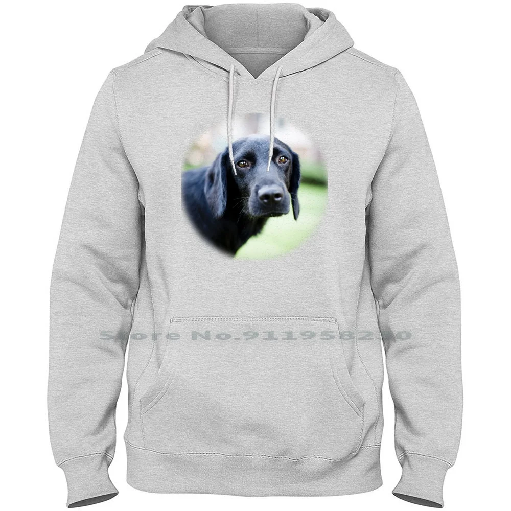 

Latin Woman Love Pet Dog Hoodie Sweater 6XL Big Size Cotton Woman Love Street Person People Latin Oman Love Son Sad Pet Hug Om