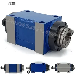 Hot High Quality BT30 Power Head Spindle 3000~7000rpm Power Unit Machine Tool Spindle Head for boring milling drilling tapping