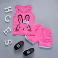 Rabbit Roseo red