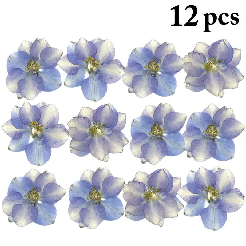 12PCS Dried Flowers Real Larkspur DIY Pressed Flowers eal Dried Flower Dry Plants for Making Craft DIY Accessories