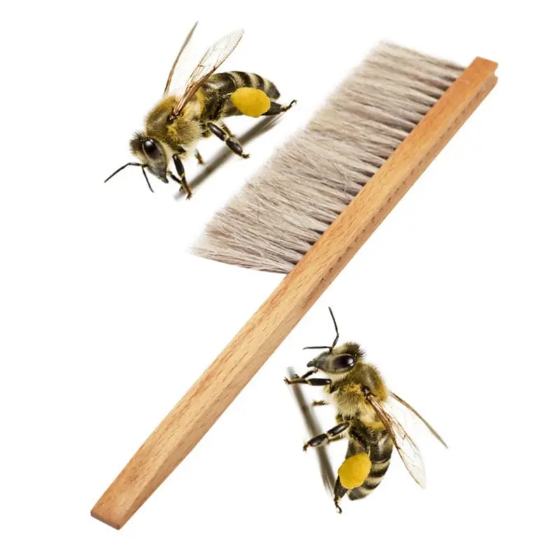 

Wood Beekeeping Tools Wood Honey Brush Wasp bee Sweep Two Rows Of Horse Tail Hair New Bee Brush Beekeeping Equipment