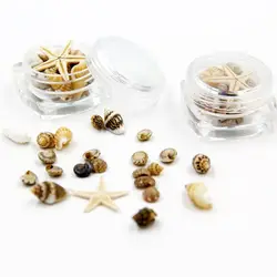 Small Natural Beach Seashell Starfish Nautical Decor Jewelry Glass DIY Fillers Nail Art Resin Fillings Jewelry Making Tool