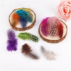Guinea Fowl Dot Feather 4.5-8cm 2-4 Inches Dyed Chicken Pheasant Feathers for Crafts Plume Decoration Diy Christmas Accessories