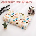A Pillowcase 30x50cm