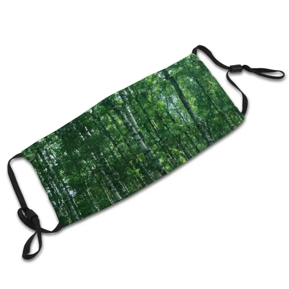 De Berkenbos Masker Doek Wasbare Diy Filter Pm2.5 Volwassen Kids Berken Berk Birch Bos Bos Bomen Boom Natuur wilde