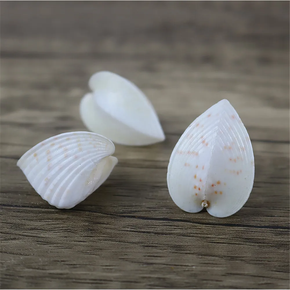 10pcs/lot White Natural Marine Shells Flat Heart-Shaped Conch Beige Cute Chicken Heart Clam Love Shellfish Home Decoration