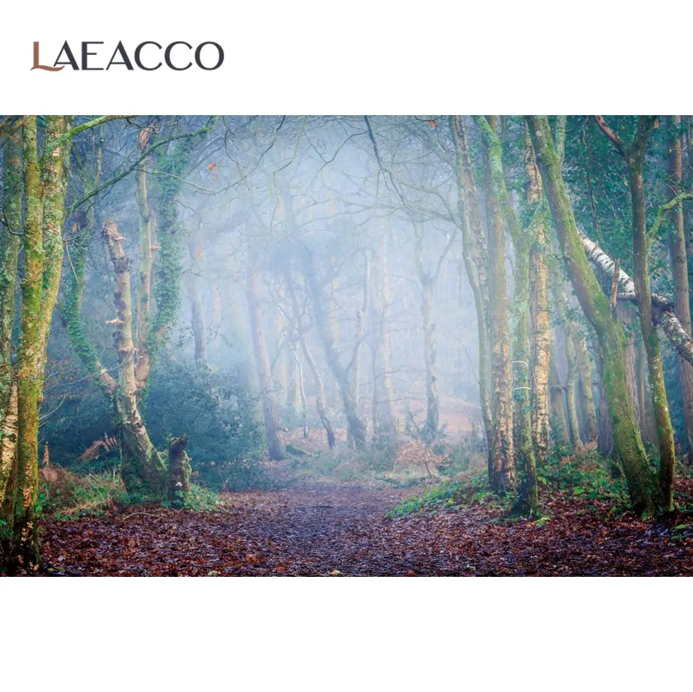 

Laeacco Autumn Old Tree Forest Mist Frog Morning Scenic Park Way Photographic Background Photo Backdrop Photocall Photo Studio