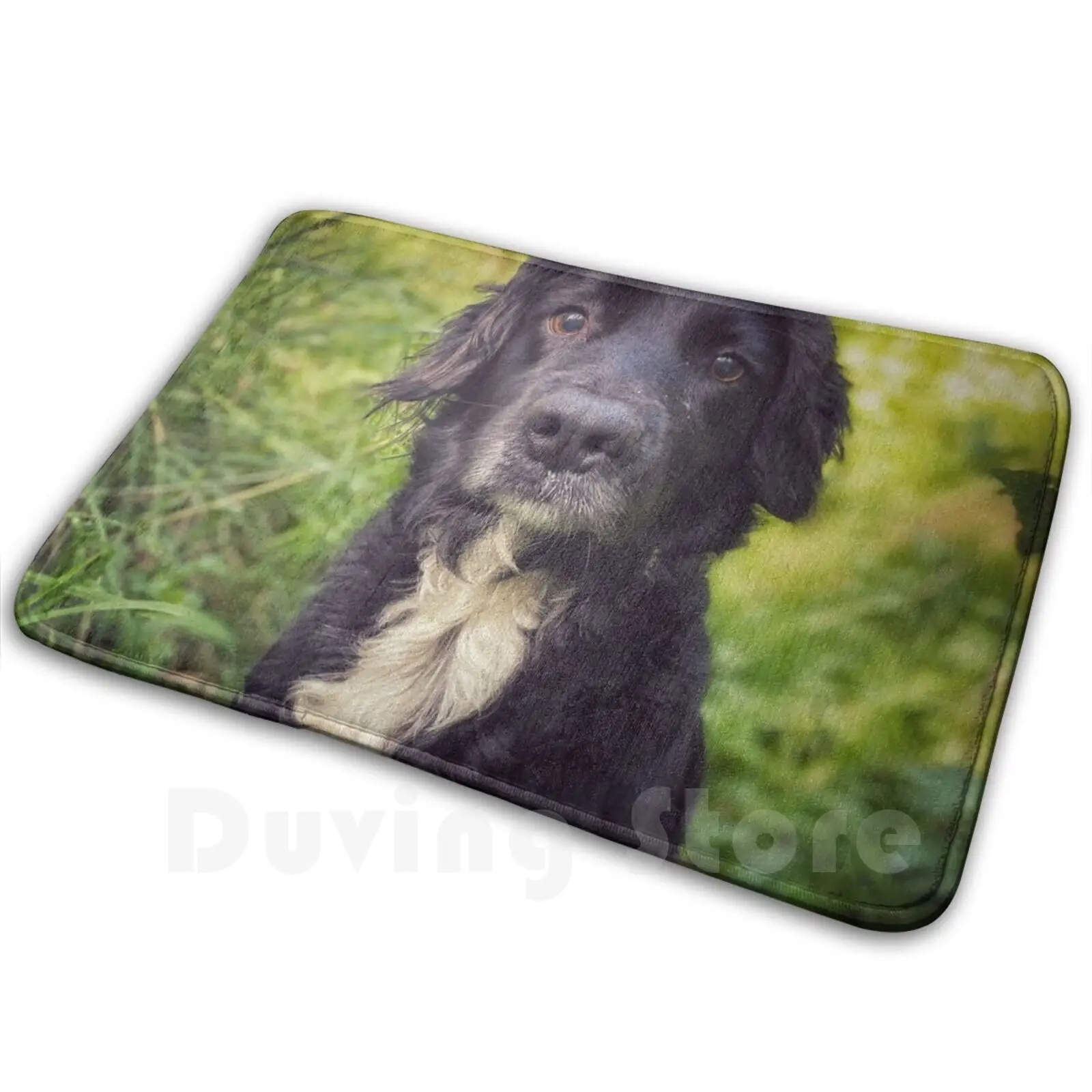 Black Spaniel In The Grass Carpet Mat Rug Cushion Soft Non-Slip Black White Green Vintage Vignette Dog Hound Puppy Cute