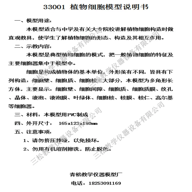 Plant Cell Model Plant Microscopic Specimens Magnified Cell Structure Bio-teaching Model Display Utensils